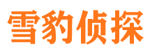 浦江市婚外情调查